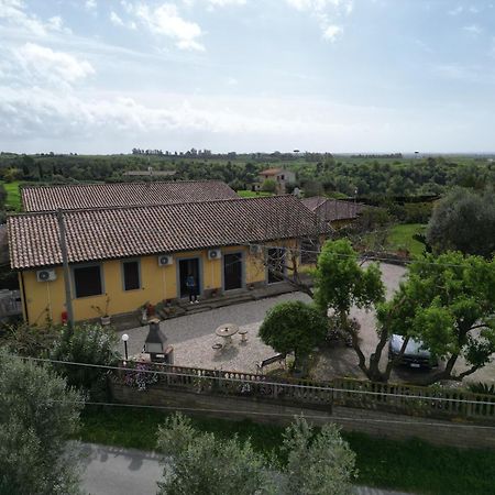 Le Casette In Collina Cerveteri Bagian luar foto